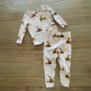 Milkbarn 2 Piece Pajamas - Size 18-24m